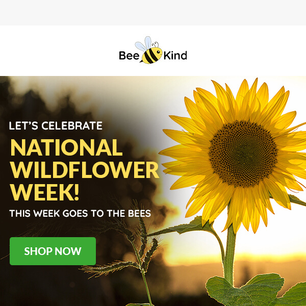 Celebrate National Wildflower Week With Us!