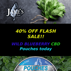 Wild Wednesday 40% Off Flash Sale on Wild Blueberry CBD pouches today