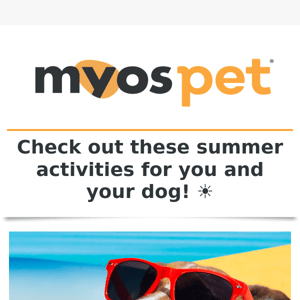 🌞 Dive into Summer Fun with Your Furry Friend! 🐾