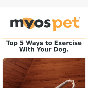 Top 5 Ways to Exercise with Your Dog! 🐕💪