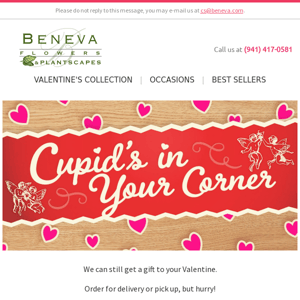 Delivery Still Available for Valentine's Day
