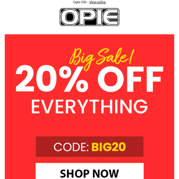 Final Few hours - 20% Off Everything!