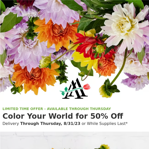 Save 50% On ✨Dazzling Dahlias✨ Through Thursday!