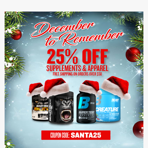 December to Remember Sale! 25% OFF