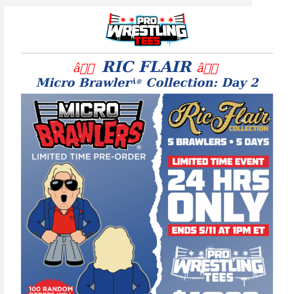 24 Hrs Only: Ric Flair Limousine Ridin Micro Brawler® + Space Mountain  Chase 🚀 - Pro Wrestling Tees