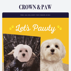 Join the PAWTY with us! 🥳🎂