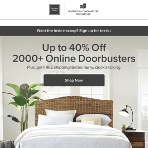 Doorbusters & free shipping & 20% off rugs, oh my!