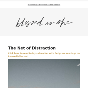 Today's Devotion: The Net of Distraction