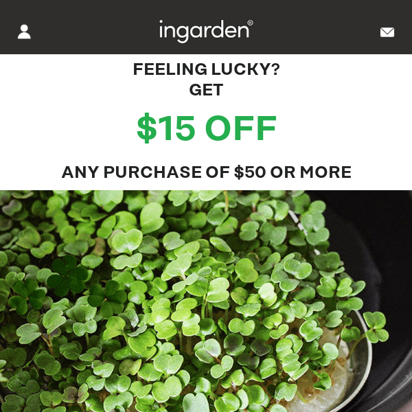 Feeling lucky? Get $15 OFF your next purchase! 🍀