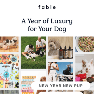 New Year, New Pup Giveaway