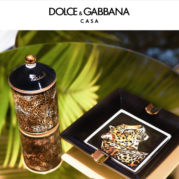 Home luxuries - Dolce Gabbana