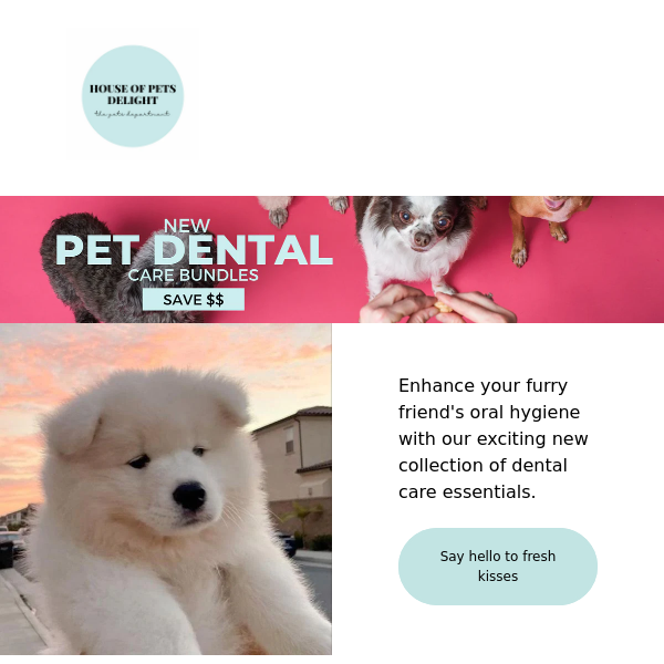 Dental care essentials, new products, potty training & more