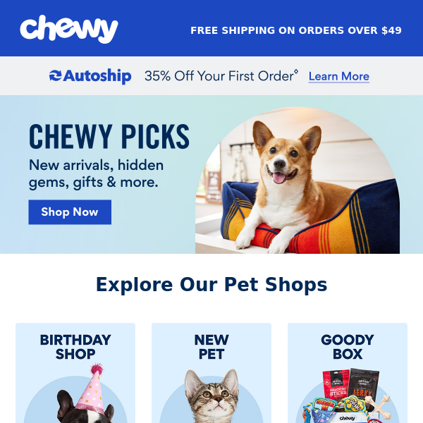 Chewy's Picks for Summer Sun & Fun
