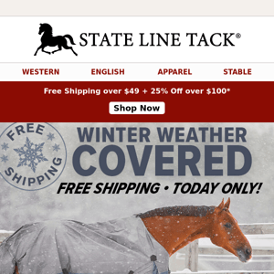 🛷 FREE Shipping Day + Up to 65% Off! Ho, Ho, GO!