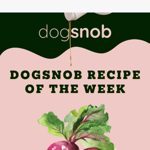 Dogsnob Recipe of the Week! 🦴
