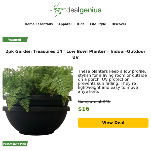 Best Indoor Planters For Low Profile Plants