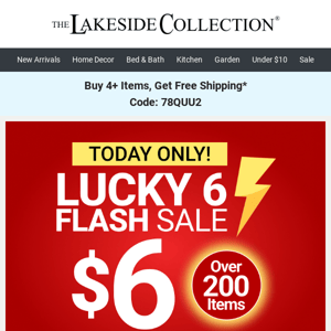 STARTS NOW! $6 Flash Sale!