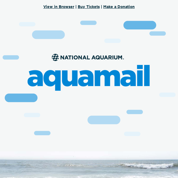 National Aquarium Coupon Codes → 10 off (2 Active) July 2022