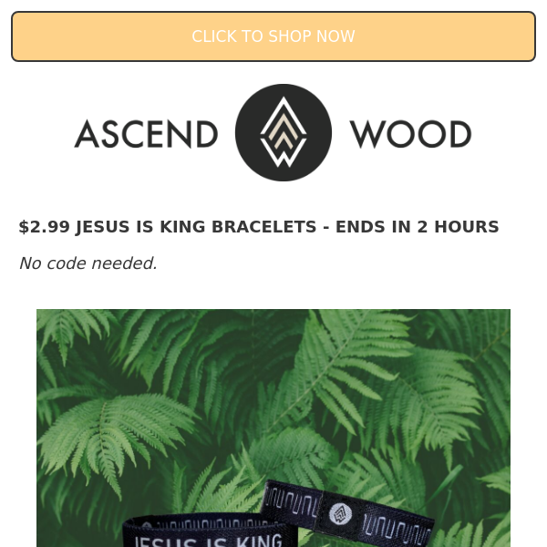 FLASH SALE $2.99 - 👑 JESUS IS KING BRACELETS 😃