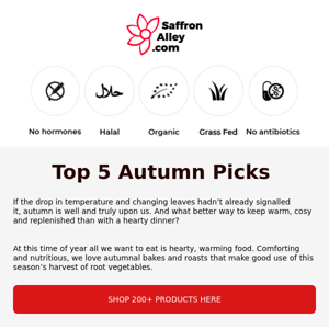 Our Top 5 Autumn Picks