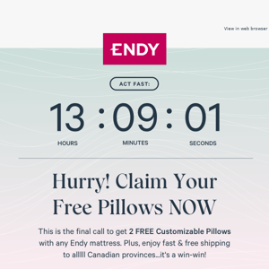 Now or never! Grab your 2 free pillows ⏳