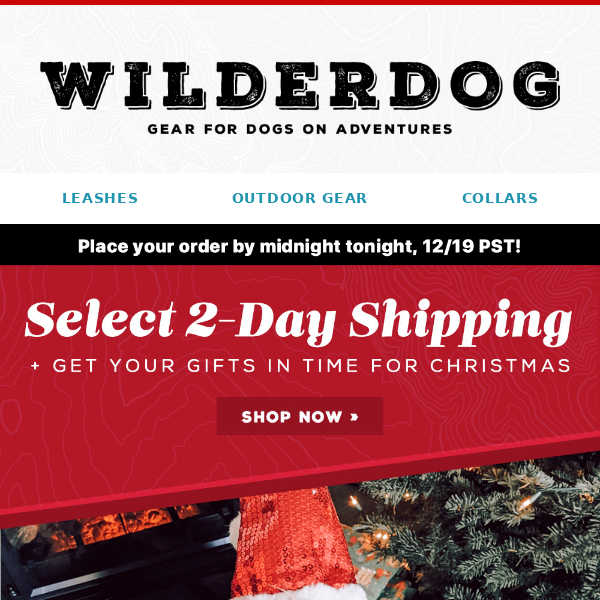 Still Need a Gift? 🐶🎅 Select 2-Day shipping for Guaranteed Delivery by Christmas