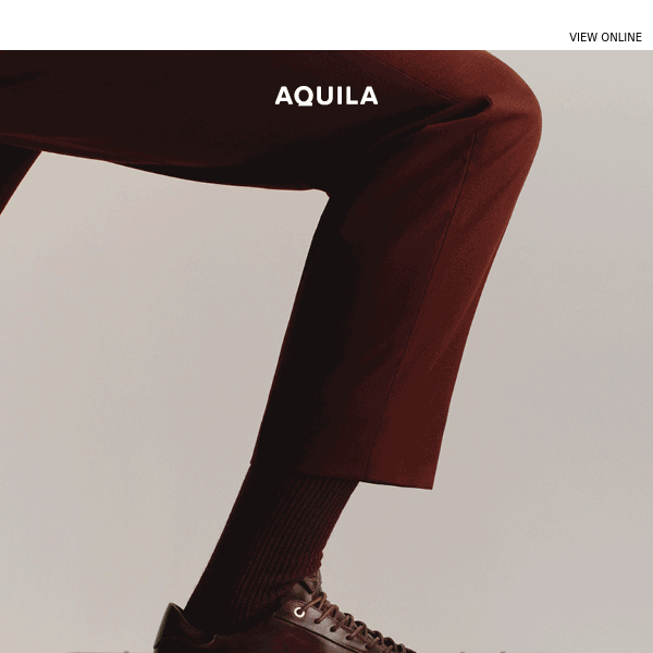 Elevate Your Outfit with Blue Shoes - Aquila