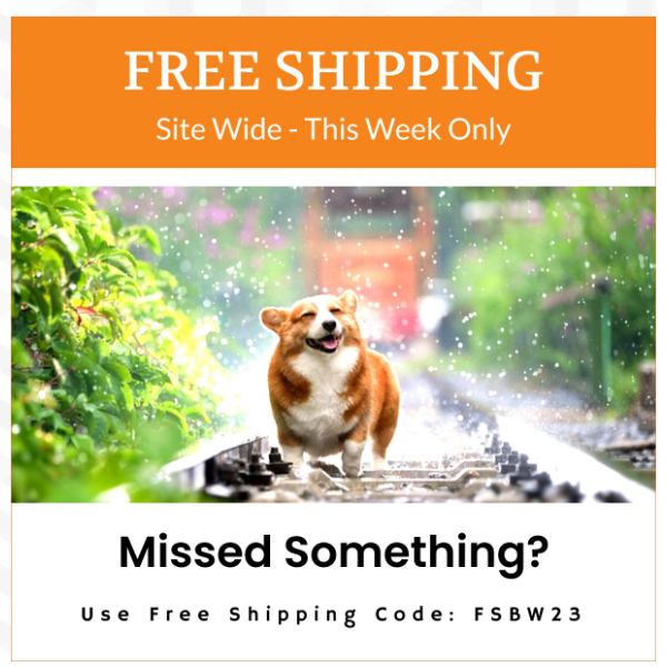 Missed Something? FREE Shipping This week
