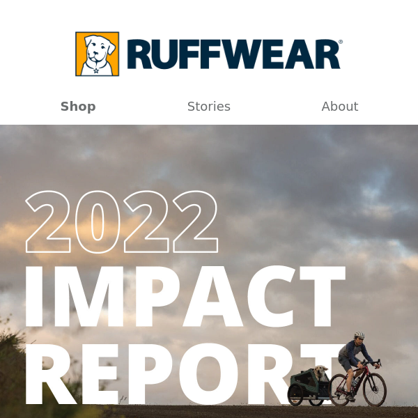 By the numbers: Our 2022 Impact Report