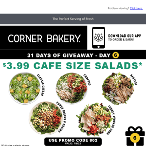 Day 6: $3.99 Cafe Salads at Corner Bakery