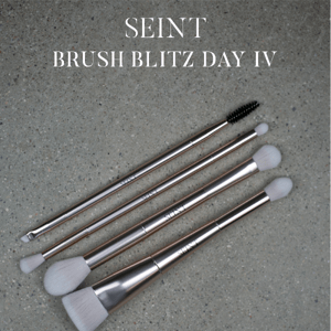 Brush Blitz Day IV!