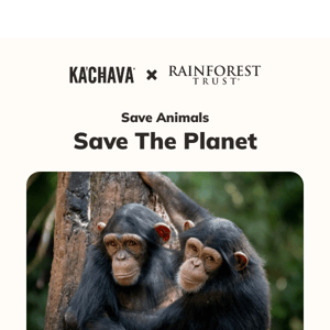 Help protect lands for the Western Chimpanzee🐒