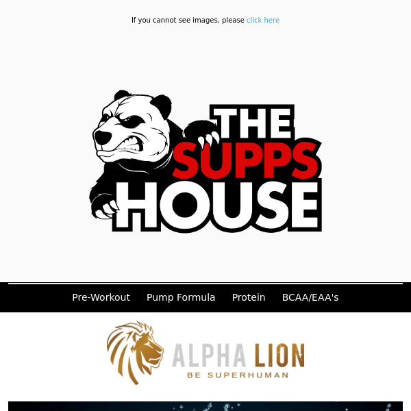 Every Day Use Pre-Workout From Alpha Lion