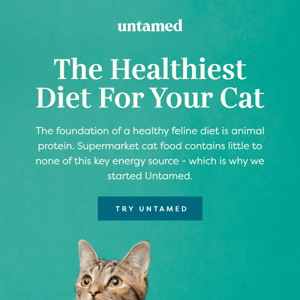 The healthiest diet for your cat