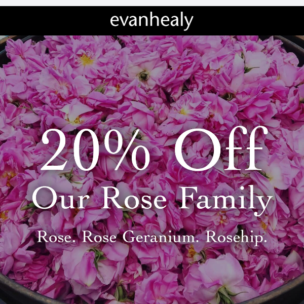 20% Off Our Rose Family: Rose. Rose Geranium. Rosehip.