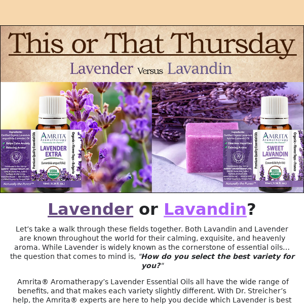 Lavandin or Lavender: What is the Difference?