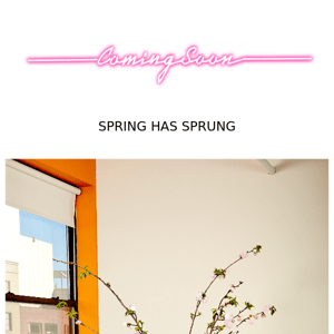 IT'S SPRING TIME