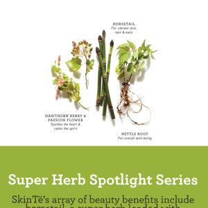 Super Herb Spotlight Series: Horsetail