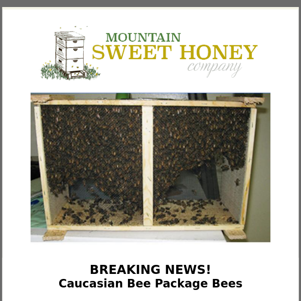 Caucasian Bees are coming this Spring!