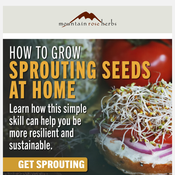 Learn How to Grow Sprouting Seeds at Home
