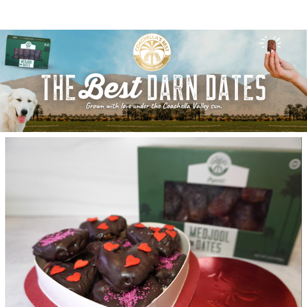 Chocolate-Covered Heart Dates