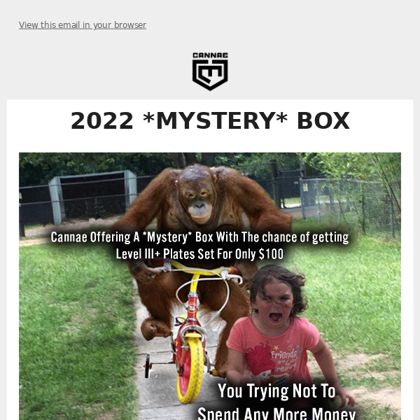 2022 *MYSTERY* BOX! Chance To Get A LEVEL III+ ARMOR Bundle!