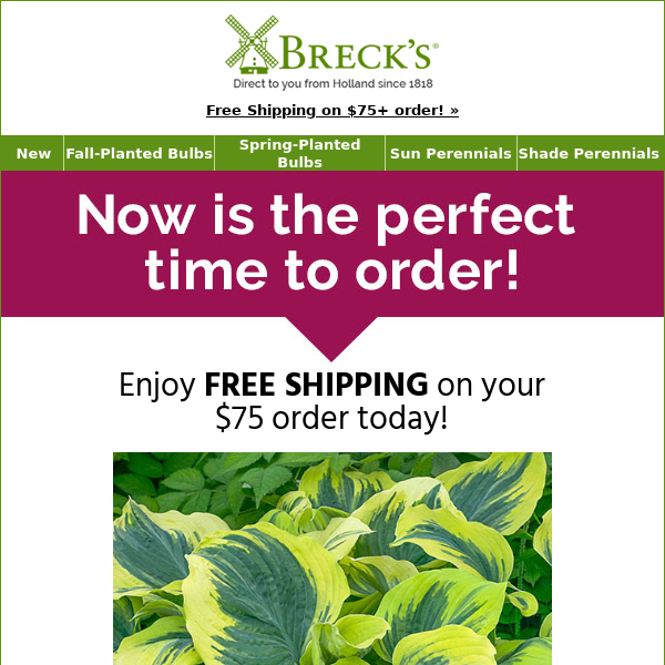 If you're ready to order, the shipping's on us! - Breck's