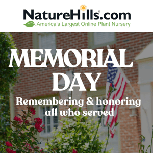 🇺🇸 MEMORIAL DAY: Last Chance for Buy One, Get One! 🌺