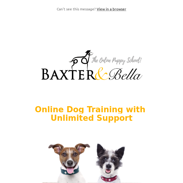 Online Dog Training with Unlimited Professional Help