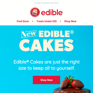 We Make CAKE Now!