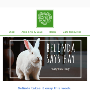 Belinda Says Hay:  "Lazy Hay Blog"