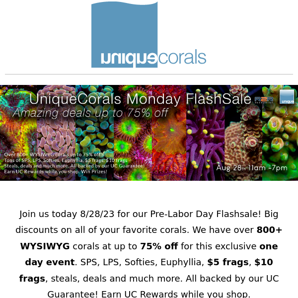 800+ WYSIWYG corals at up to 75% off - Today only!! Join us on R2R from 11am-7pm PST for an exclusive flashsale!  ﻿ ﻿ 　　