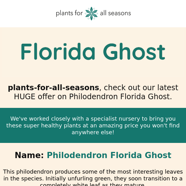 🌿 PLANT OFFER - Philo Florida Ghost 🌿
