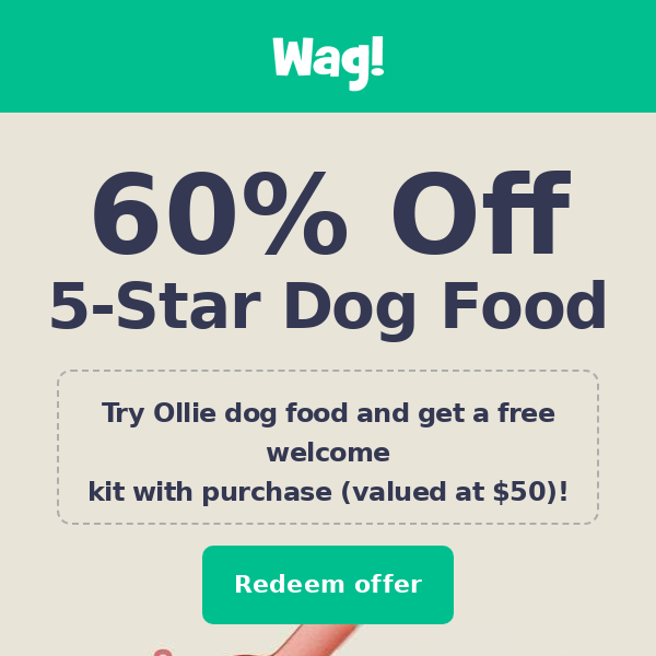 Huge savings on pet food 💲